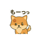 ♡しばまるのひとこと2♡（個別スタンプ：15）