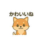 ♡しばまるのひとこと2♡（個別スタンプ：18）