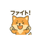 ♡しばまるのひとこと2♡（個別スタンプ：31）