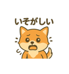 ♡しばまるのひとこと2♡（個別スタンプ：33）