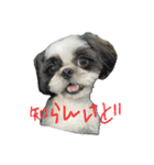 おこげと笑吉 3（個別スタンプ：1）