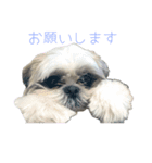 おこげと笑吉 3（個別スタンプ：2）