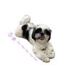 おこげと笑吉 3（個別スタンプ：4）