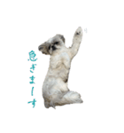 おこげと笑吉 3（個別スタンプ：5）