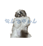 おこげと笑吉 3（個別スタンプ：6）