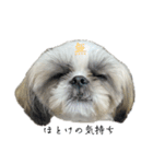 おこげと笑吉 3（個別スタンプ：7）