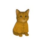 チャイナ服の猫と犬（個別スタンプ：11）