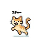 「ぽちぽちコンピューたん」スタンプセット（個別スタンプ：3）