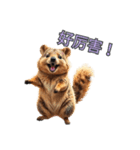 愛らしいクオッカ5（簡体字）（個別スタンプ：2）