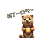 愛らしいクオッカ5（簡体字）（個別スタンプ：4）