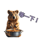 愛らしいクオッカ5（簡体字）（個別スタンプ：7）
