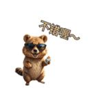 愛らしいクオッカ5（簡体字）（個別スタンプ：8）