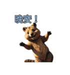 愛らしいクオッカ5（簡体字）（個別スタンプ：9）