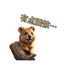 愛らしいクオッカ5（簡体字）（個別スタンプ：17）
