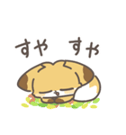 きつねのちゅね（個別スタンプ：16）