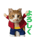 猫ズ1（個別スタンプ：2）