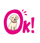golden's sweet life（個別スタンプ：6）