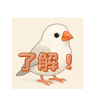 可愛い小鳥の日常スタンプ（個別スタンプ：1）