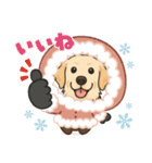 ゴールデン スタンプ（個別スタンプ：6）