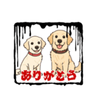 ゴールデン スタンプ（個別スタンプ：8）