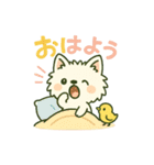 【しろいぬ】日常スタンプ（個別スタンプ：1）
