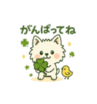 【しろいぬ】日常スタンプ（個別スタンプ：10）