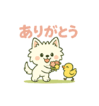 【しろいぬ】日常スタンプ（個別スタンプ：16）