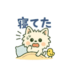 【しろいぬ】日常スタンプ（個別スタンプ：21）