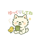 【しろいぬ】日常スタンプ（個別スタンプ：22）