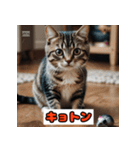 猫の気持ちスタンプ2025（個別スタンプ：4）