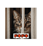 猫の気持ちスタンプ2025（個別スタンプ：8）