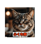 猫の気持ちスタンプ2025（個別スタンプ：14）