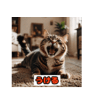 猫の気持ちスタンプ2025（個別スタンプ：15）
