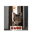 猫の気持ちスタンプ2025（個別スタンプ：21）