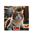 猫の気持ちスタンプ2025（個別スタンプ：24）