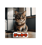 猫の気持ちスタンプ2025（個別スタンプ：25）