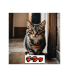 猫の気持ちスタンプ2025（個別スタンプ：34）