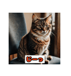 猫の気持ちスタンプ2025（個別スタンプ：38）