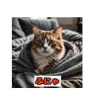 猫の気持ちスタンプ2025（個別スタンプ：39）