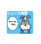 シュナウザー動画_03（個別スタンプ：1）