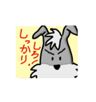 シュナウザー動画_03（個別スタンプ：8）