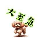 トイプードルのきまぐれ気分♪（個別スタンプ：20）