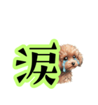 トイプードルのきまぐれ気分♪（個別スタンプ：29）