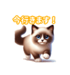 とにかくかわいい シャム（個別スタンプ：17）