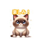 とにかくかわいい シャム（個別スタンプ：19）