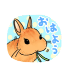 うさぎeveryday（個別スタンプ：1）