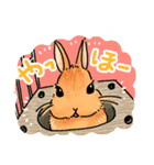うさぎeveryday（個別スタンプ：2）