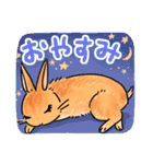 うさぎeveryday（個別スタンプ：3）