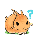 うさぎeveryday（個別スタンプ：5）