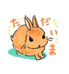 うさぎeveryday（個別スタンプ：6）